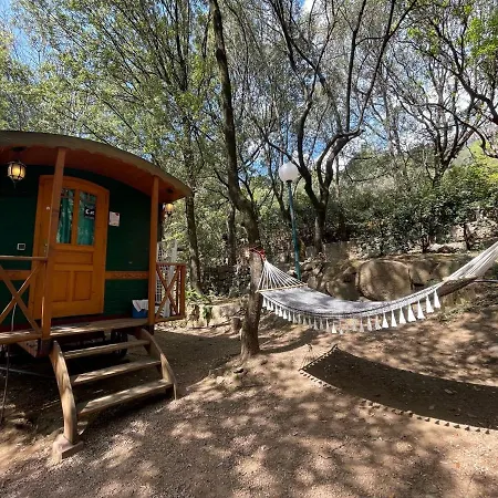 캠프장 Les Oliviers 4*