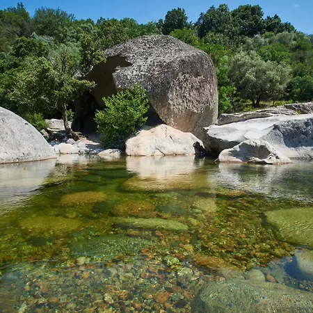 캠프장 Les Oliviers