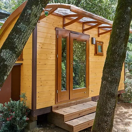 Les Oliviers Porto (Corsica)