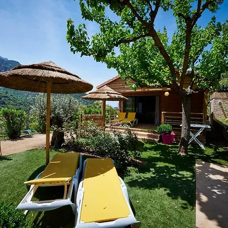 Les Oliviers 캠프장