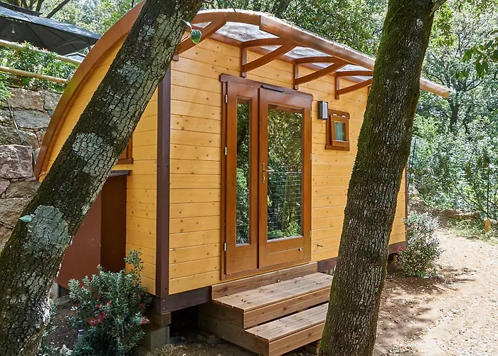 Les Oliviers Porto (Corsica)