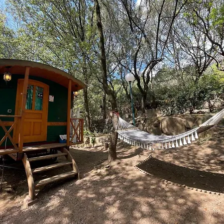Camping Les Oliviers 4*