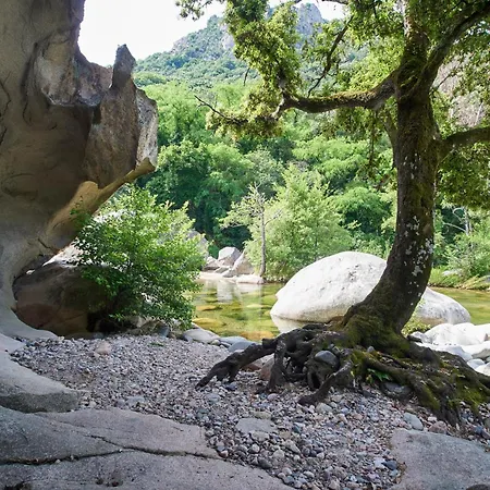 Les Oliviers Porto (Corsica)