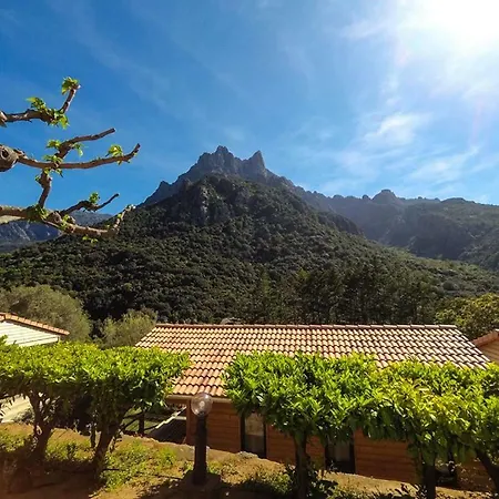 Les Oliviers Kamp alanı