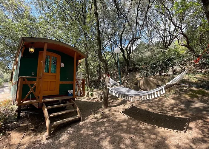 Camping Les Oliviers 4*