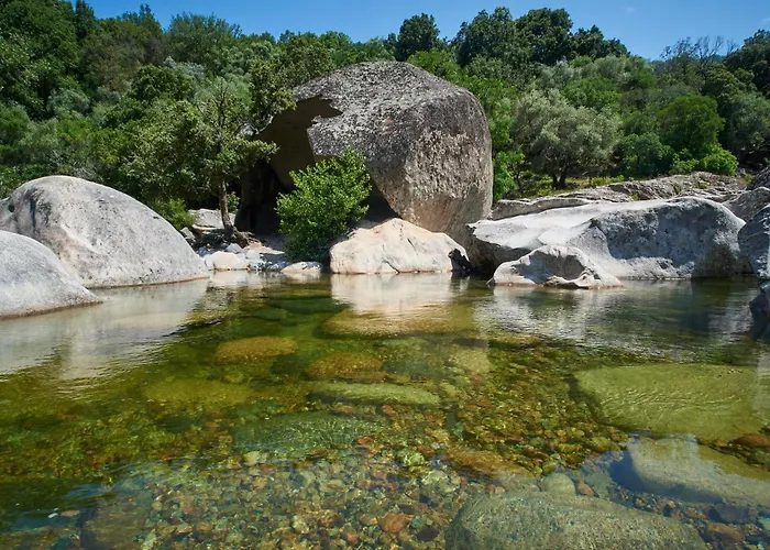 Camping Les Oliviers