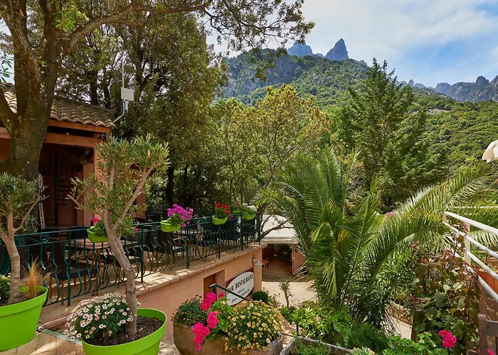 Camping Les Oliviers 4*