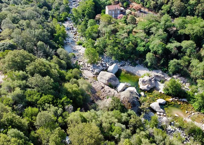 Les Oliviers Camping