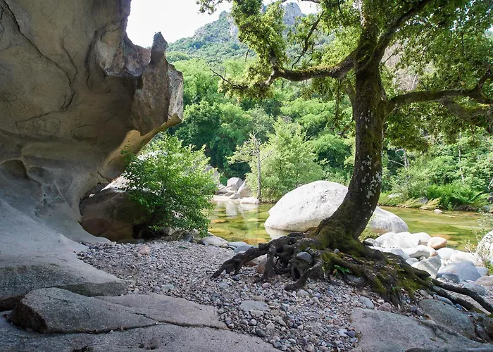 Les Oliviers Porto (Corsica)