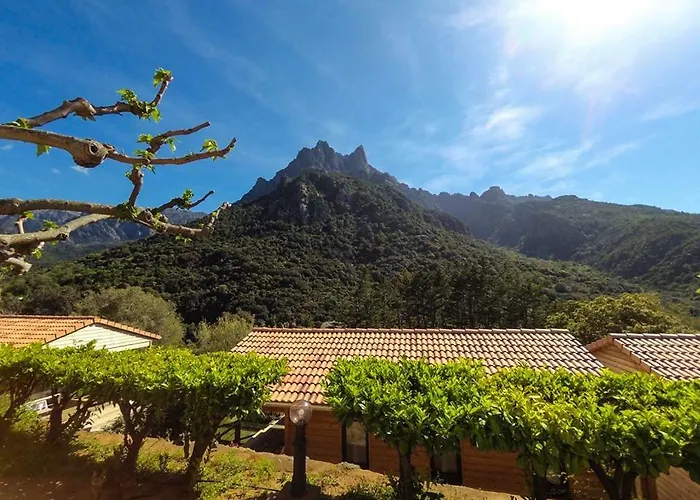 Les Oliviers Camping